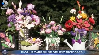 VIDEO - Un nou tip de flori care nu se ofilesc niciodată: cele din porțelan rece