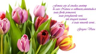 Mesaje de 8 Martie pentru femei: Cele mai frumoase urări de Ziua Femeii