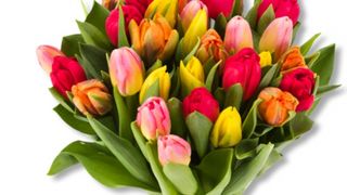 Mesaje de 8 Martie pentru femei: Cele mai frumoase urări de Ziua Femeii