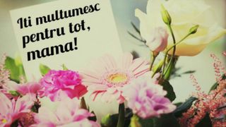 felicitări 8 martie