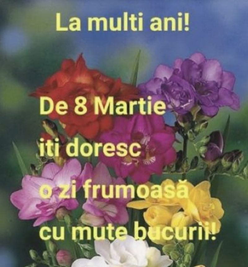 Citate impresionante pentru Ziua Femeii - 8 martie 2022