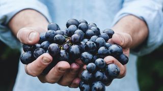 Sfaturi pentru a cunoaște mai bine lumea vinurilor