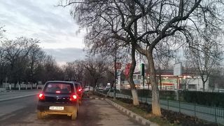 Cozi de sute de metri la benzinării. Sute de șoferi merg să alimenteze