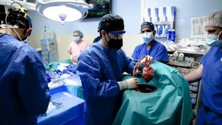 VIDEO |Primul pacient din lume căruia i s-a transplantat o inimă de porc a murit