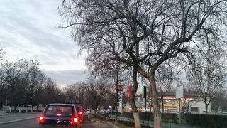 Premierul Nicolae Ciucă a dispus începerea de controale ample la stațiile de alimentare cu carburant