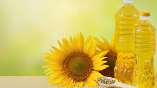 Uniunea Europeană în criză de ulei: Rezervele ajung doar pentru șase săptămâni. 45% din necesar provine din Ucraina