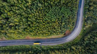 Rusia interzice exporturile de zahăr, cereale şi lemn către mai multe ţări