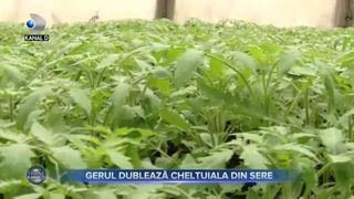 Gerul dublează cheltuiala din sere