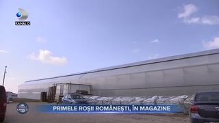 Primele roșii rom&acirc;nești, &icirc;n magazine
