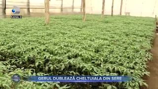 Gerul dublează cheltuiala din sere