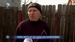Copil mutilat de c&acirc;inii din gospodărie
