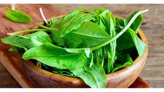 Ce vitamine conţine ştevia?