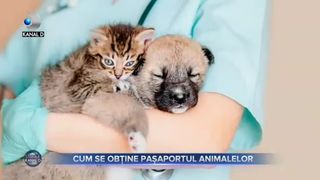 Cum se obține pașaportul animalelor