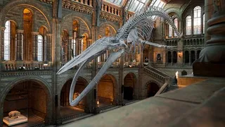 C&acirc;nd are loc Noaptea Muzeelor &icirc;n 2022?