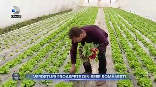 Verdețuri proaspete din sere rom&acirc;nești