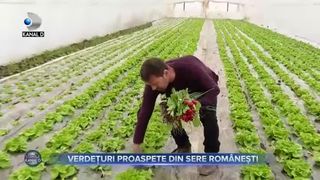 Verdețuri proaspete din sere rom&acirc;nești