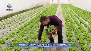 Verdețuri proaspete din sere rom&acirc;nești
