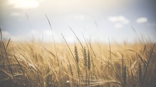 echinocțiu de primăvară 2022