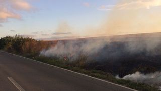 Bărbat găsit mort pe un câmp din Focșani