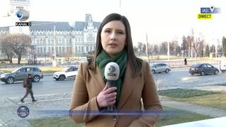 Leul Simba din Ucraina, salvat în România