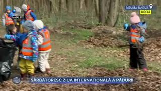 Sărbătoresc ziua internațională a pădurii