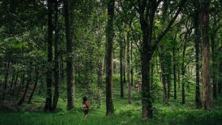 Ce este un registru al spațiilor verzi și ce informații trebuie să conțină  