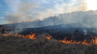 Aproximativ 90 de hectare de vegetație, incendiate în Tulcea