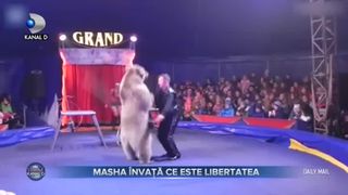 Masha învață ce este libertatea