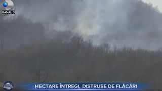 VIDEO - Incendiu de vegetație în Buzău. Au ars zeci de hectare de pădure