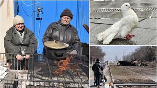 Ucrainenii, lecții de supraviețuire: adună apa de ploaie și vânează porumbei. Zeci de mii de oameni sunt încă blocați în coșmarul din Mariupol