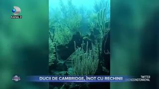 Ducii de Cambridge, &icirc;not cu rechinii