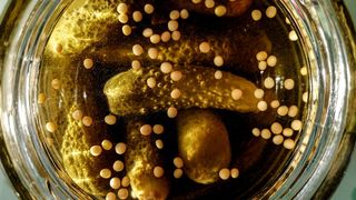 se-scumpesc-boabele-de-mustar