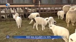 Miei mai scumpi cu 30 la suta