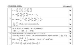 Barem simulare BAC Matematică.