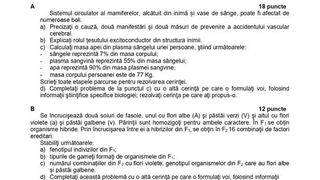 Subiecte Biologie simulare BAC 2022. Răspunsurile corecte pentru toate subiectele