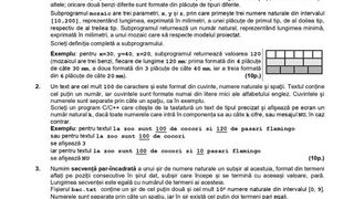 Subiecte Informatică simulare BAC 2022. Cum se rezolvă subiectele?