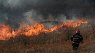  Incendiu puternic de vegetație în județul Prahova