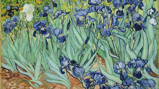 Cele mai scumpe creații Van Gogh