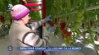 Sera fără pământ, cu legume ca la bunici