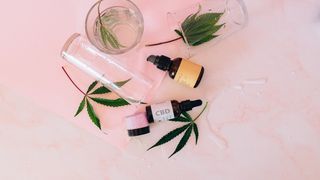 Ești interesat de ulei de canabis, preț sau beneficii ale acestuia? Iată ce trebuie să știi!