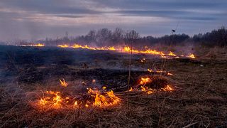 O femeie de 75 de ani a fost găsită moartă în urma unui incendiu de vegetație uscată