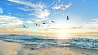 VIDEO - Românii vor plăti mai mult pentru a merge în vacanță pe litoral