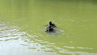 Autoritățile au făcut o descoperire șocantă la granița dintre România și Ucraina. Ce s-a găsit în râul Tisa