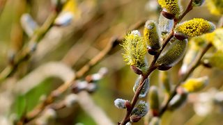 calendar ortodox aprilie 2022