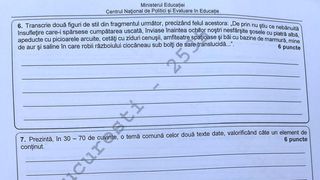 Edu.ro Subiecte simulare Evaluare Naţională 2022 Rom&acirc;nă: Ce au primit elevii de clasa a 8-a? Barem de corectare