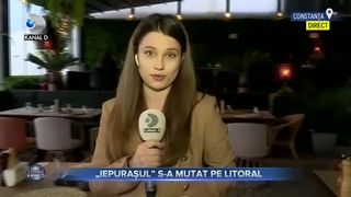 &rdquo;Iepurașul&rdquo; s-a mutat pe litoral