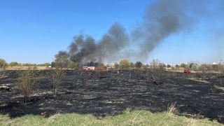 VIDEO - Incendiu cu degajări mari de fum în Parcul Văcărești. Pompierii intervin cu mai multe autospeciale