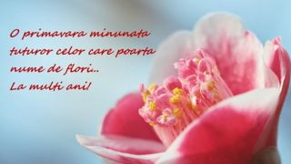 Mesaje de Florii 2022: Ce nume se sărbătoresc în Duminica Floriilor? 