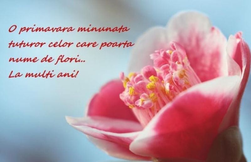 Mesaje de Florii 2022: Ce nume se sărbătoresc în Duminica Floriilor? 