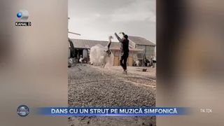 Dans cu un struț pe muzică simfonică